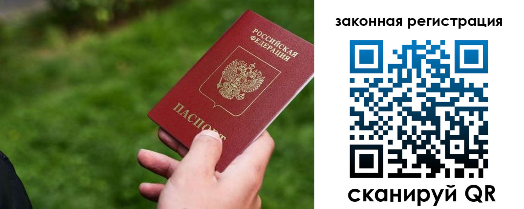 прописка законно в Петушках